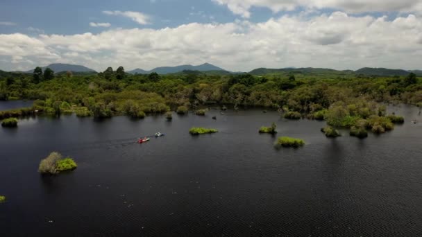 Hava Takibi Botanik Bahçeleri Rayong Tayland Daki Yemyeşil Bir Mangrove — Stok video