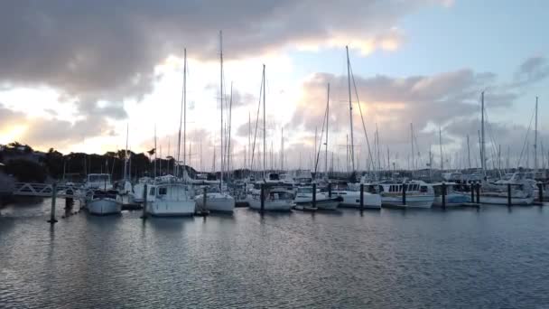 Porto Royal New Zealand Yacht Squadron Tramonto Nella Città Auckland — Video Stock