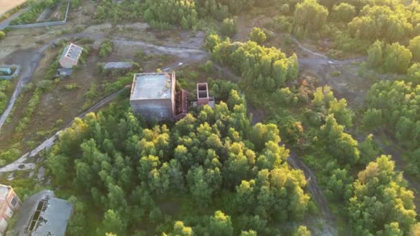 森の中の石炭鉱山の建物のショットを反転 — ストック動画