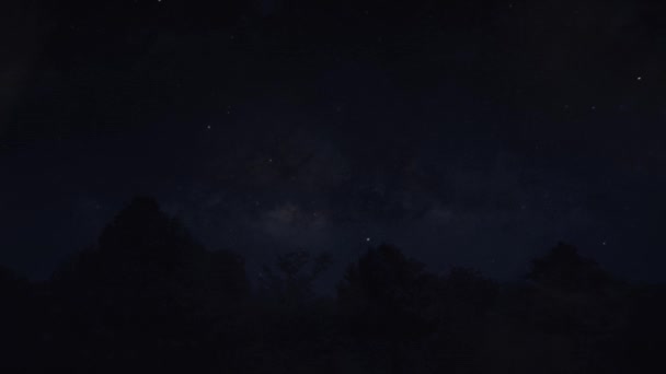 Περνώντας Δορυφόρο Δει Πάνω Από Δέντρα Στο Νυχτερινό Ουρανό — Αρχείο Βίντεο