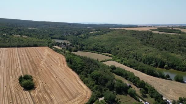 Aerial Drone Fly Plot Hay Bale Farm Land Green Natural — Vídeos de Stock