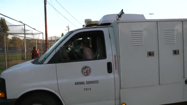 動物管理サービスが現場に到着し — ストック動画