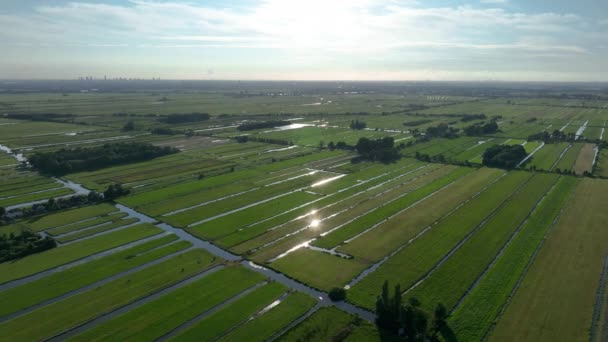 Extreme Wide Aerial Drone Shot Holland Polder Farm Land — Stock videók