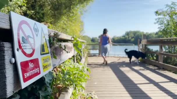 Milton Gölleri Cambridge Yakınlarında Popüler Bir Vahşi Yüzme Yeridir Milton — Stok video
