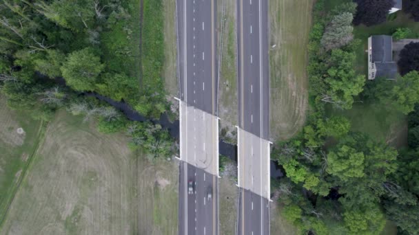 空中无人机鸟瞰着白天在高速公路上的一条水渠上的两只小鸟 — 图库视频影像