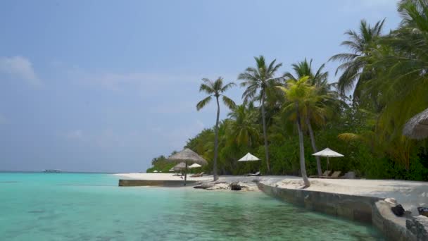 Tropisch Strand Met Palmbomen Wit Zand Turquoise Water — Stockvideo