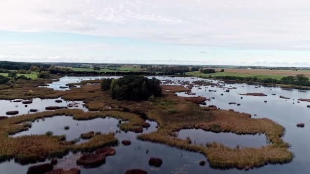 Vliegen Een Moerassig Moerasgebied Met Weiden Bosjes Bomen Langs Horizon — Stockvideo