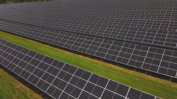 Солнечные Панели Лугу Альтернативная Энергия Солнца Электричество Солнечного Света — стоковое видео