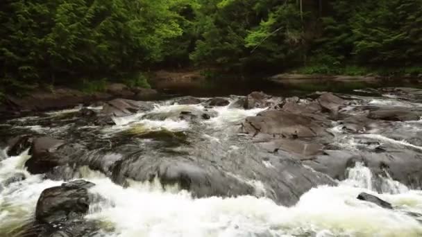 Медленно Проходя Мимо Вершины Каскада Воды Oxtongue Falls Algonquin Park — стоковое видео