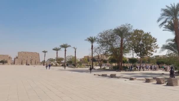 Wide View Square Entrance Karnak Temple Group Tourists Visit Open — Stock Video