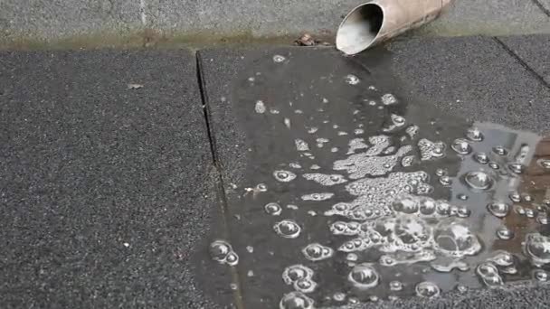 Νερό Που Ρέει Από Μια Νεροποντή Μετά Βροχή — Αρχείο Βίντεο