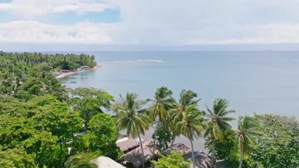 サンクリストバル ドミニカ共和国の熱帯ヤシの木とパレンケビーチ上空の航空便 — ストック動画
