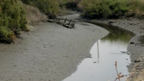 Річка Низькому Припливі Або Відсутність Води — стокове відео