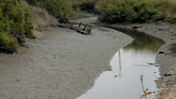 Rivière Marée Basse Manque Eau — Video