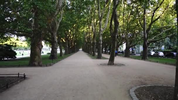 Een Pad Een Prachtig Park Het Centrum Van Stad Tussen — Stockvideo