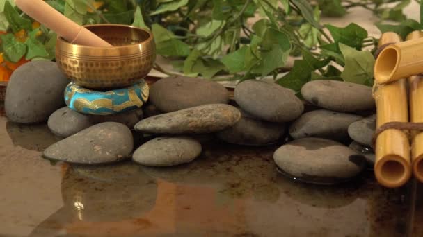 Tibetische Glocke Auf Einem Wasserteich Mit Springbrunnen — Stockvideo