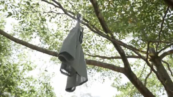 Petite Fille Robe Accroche Sur Arbre — Video