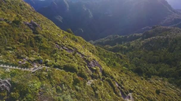 Fotografia Aérea Uma Pessoa Subitamente Andando Por Uma Pista Coromandel — Vídeo de Stock