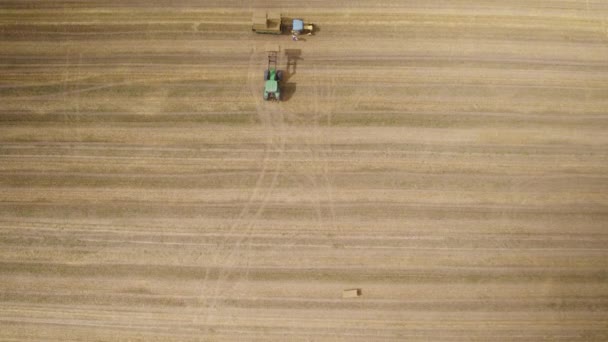 Aus Der Luft Landwirt Mit Erntemaschine Schneidet Weizenfeld Und Belädt — Stockvideo