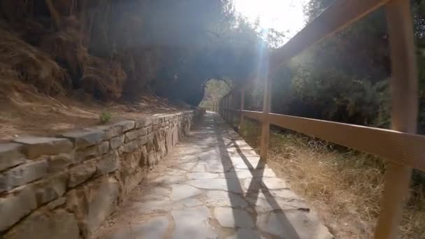 Stone Path Wooden Fence Hillside Leading Forest Summer Day Fuerteventura — Stock video