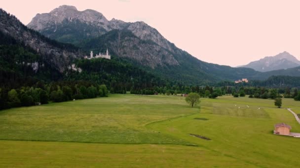 Überführung Von Ackerland Auf Schloss Neuschwanstein Bei Füssen Südwestbayern Historischer — Stockvideo