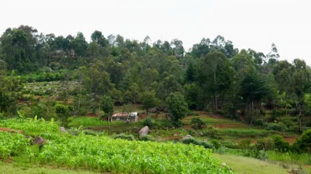 Aldea Rural Africana Granja Agrícola — Vídeo de stock