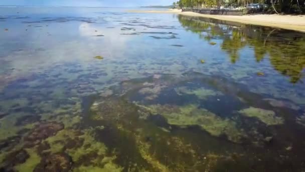 Drone Shots Van Suva Andere Delen Van Fiji Eilanden Waaronder — Stockvideo