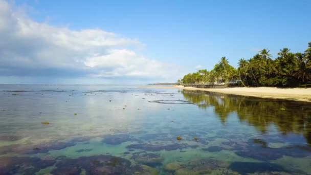 Drónfelvételek Suváról Fidzsi Szigetek Más Részeiről Beleértve Fővárost Strandokat Üdülőhelyeket — Stock videók