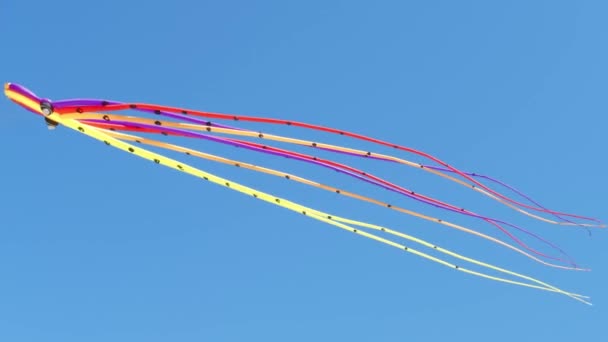 Statisk Bild Bläckfiskformad Luftballong Som Flyter Himlen Fantastisk Ballong Ses — Stockvideo
