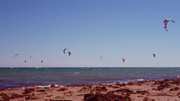 Diversi Kite Surfisti Sul Mare Visto Dalla Costa — Video Stock