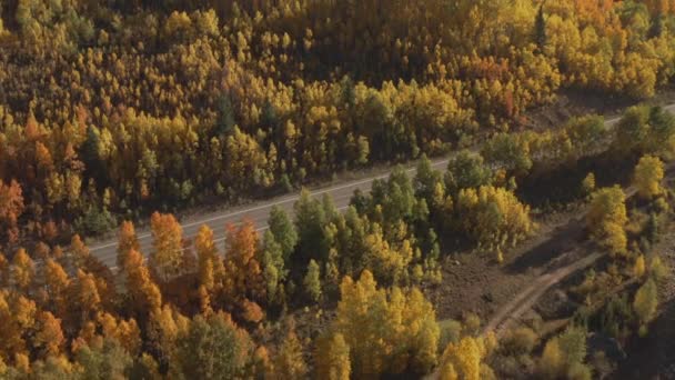 三胡安山区美丽的科罗拉多山城和明亮的黄 橙相间的杨树秋天沿着百万美元公路被空中射中 — 图库视频影像
