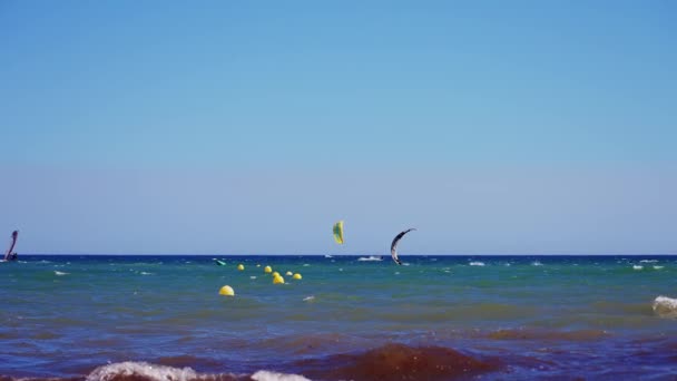 Kilku Kitesurferów Morzu — Wideo stockowe