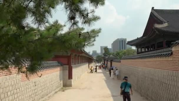 Summer Group Tour Gyeongbokgung Palace Άνθρωποι Που Περπατούν Μέσα Από — Αρχείο Βίντεο