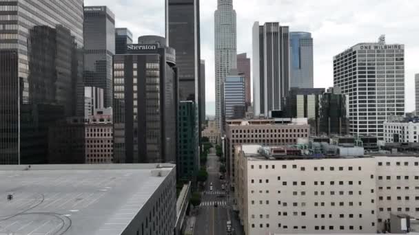 Downtown Los Angeles Flower — Video Stock