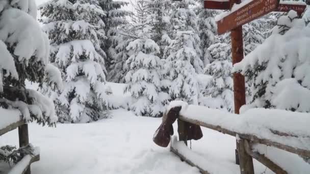 身穿休闲装的白人男子走在冬天的森林里 抓起他的棕色夹克 杰克特的雪飘落 射得很宽 — 图库视频影像