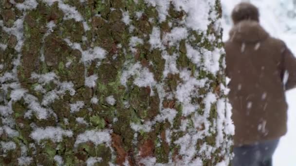 Kaukasischer Mann Lässiger Winterkleidung Der Bei Schneefall Auf Verschneiten Wegen — Stockvideo