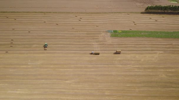 Boeren Werken Een Hooiveld Laden Vierkante Balen Tractor Trailer — Stockvideo