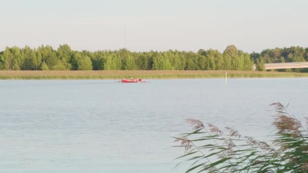 Group People Rowing Large Boat Coast — Stock Video