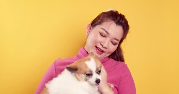 Asian Gorgeous Young Show Love Play Chihuahua Mix Pomeranian Dogs — Stock Video