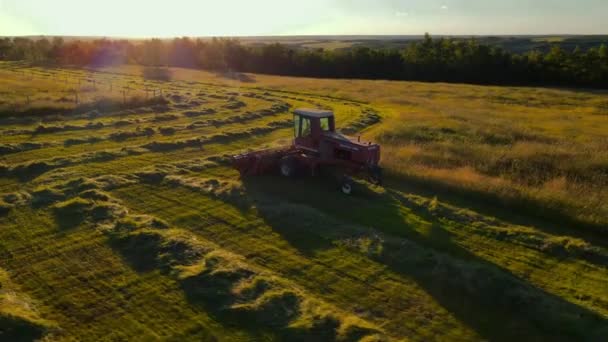 Tractor Zwom Een Veld Zonsondergang — Stockvideo