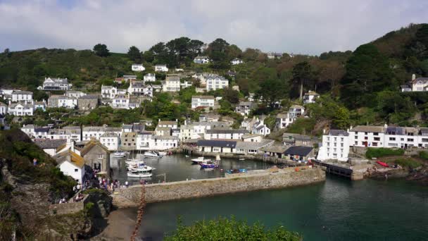 View Polperro Quaint Fishing Village Former Smuggling Hideout Cove Cornwall — Stock Video