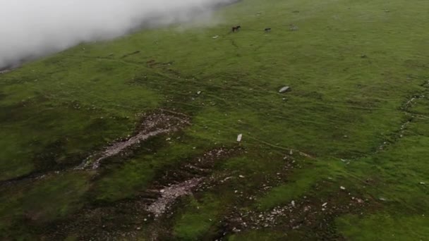 Pakistan Başkenti Kashmir Muzaffarabad Bölgesinin Büyük Bölgesi Olan Neelum Yemyeşil — Stok video