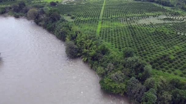 Fiumi Paesaggi Meravigliosi Della Colombia — Video Stock