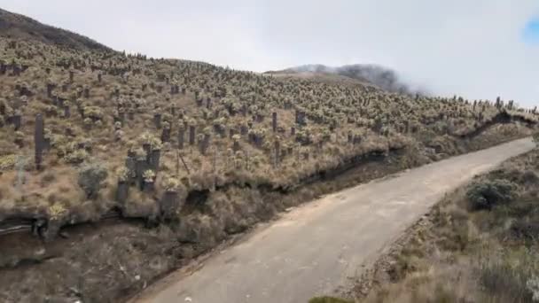 Parque Los Nevados Wspaniałe Krajobrazy Kolumbii — Wideo stockowe