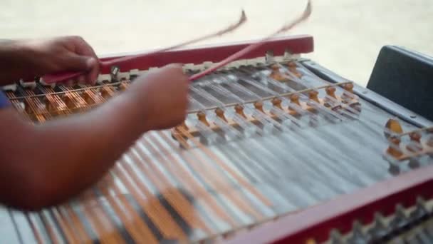 Traditionellt Grekiskt Stränginstrument Som Spelas Nära Håll — Stockvideo