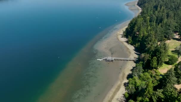 Aerial View Private Dock Extending Freeland Washington Shore Out Pacific — Stock Video