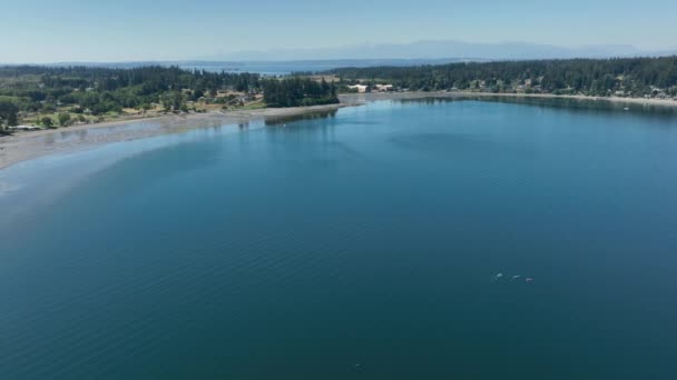 Aerial View Freeland Washington Bay Calm Water Three Kayakers Playing — Stock Video