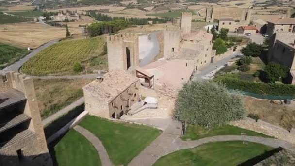 Zinnenbehauene Türme Von Artajona Navarra — Stockvideo