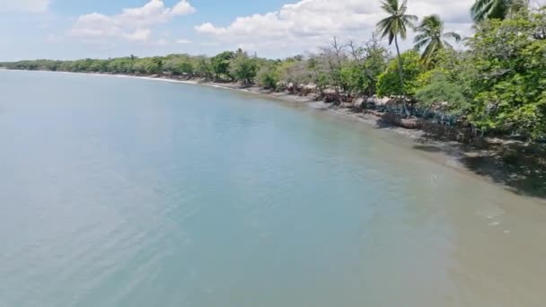 夏にはヤシの木や小さなビーチと空中フライオーバー熱帯Playa Palenque — ストック動画