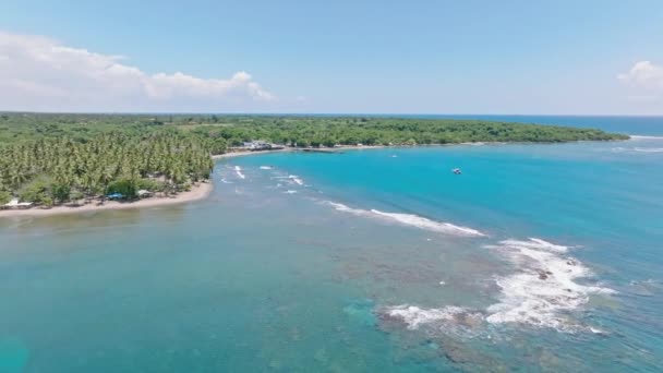 Playa Palenque Turkusową Wodą Bujną Roślinnością San Cristobal Dominikana Zdjęcia — Wideo stockowe